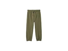 GAP Boys (2T) Jogger Pant