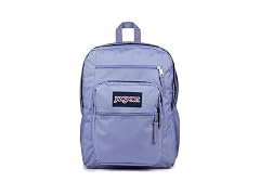 JanSport Laptop Backpack: Your Choice