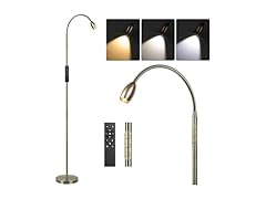 AUZONIMICS Reading Floor Lamp