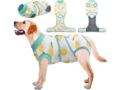 Recovery Suit For Pets After Surgery