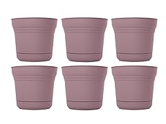 10" Saturn Planter Plummed, 6 pack