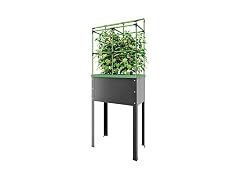 BioGreen Raised Garden Bed with Trellis