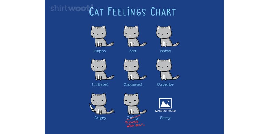 cat emotions chart Cat feelings emotions chart mood cats emoticons