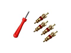 Rsbero AAP-Auto-058 Portable Tire Valve