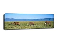 Serengeti National Park, Tanzania