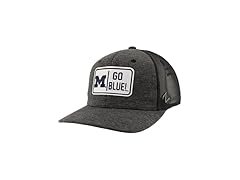 Michigan Carson Trucker Hat Defer Black