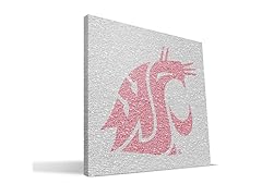 Washington State Cougars