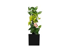 Tevatower Mini Smart Self-Watering Planter