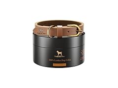 NOAH & PAW Genuine Leather Dog Collar