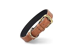Classic Brown Leather Dog Collar for Small Me