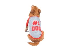 The Dodo #1 Dog T-Shirt for Dogs, Size Extra Small