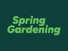 Spring Gardening