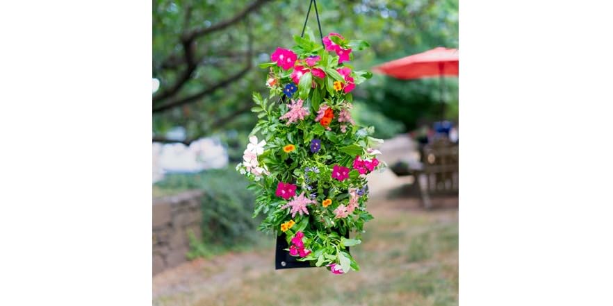 Butterfly Bag Kit with Hummingbird Feeder
