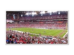 NFL 36x20 Stadium Posters