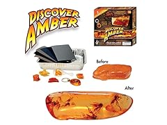 Discover Amber Science