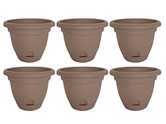 12" Lucca Planter Curated, 6 pack