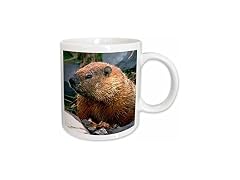 3dRose Groundhog 15oz Mug