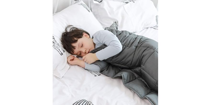 Kathy Ireland Weighted Blanket