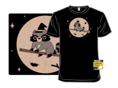 Raccoon Witch