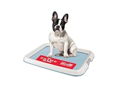 IRIS USA Pee Pad Holder, Fits 17x23 Pads, Blue