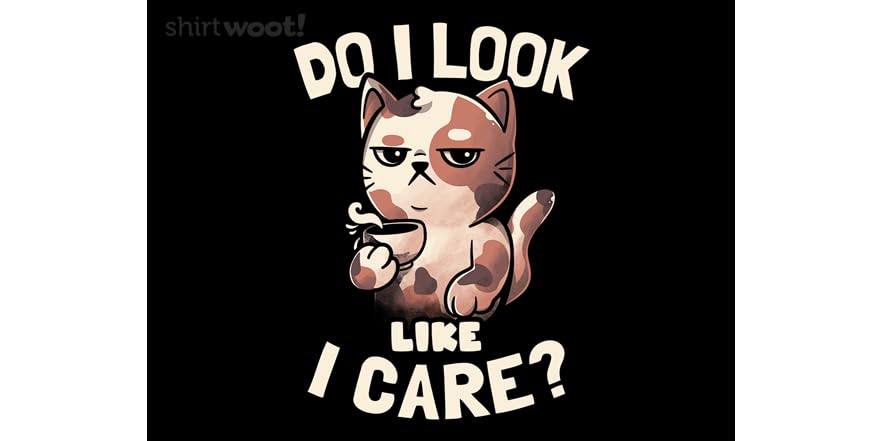 Do I Look LIke I Care?