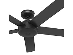 Hunter Fan 52" Ceiling Fan w/ Remote