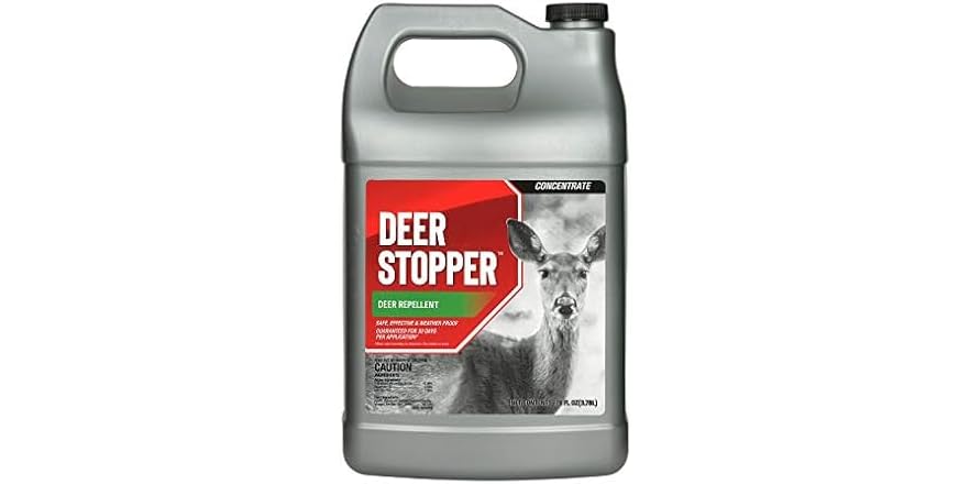 Messina 1 Gallon Deer Stopper