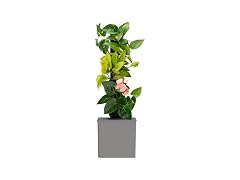 Tevatower Mini Smart Self-Watering Indoor Garden System