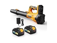 Cordless Leaf Blower w/ 2 Battery