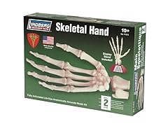 Lindberg Skeletal Hand Model Kit