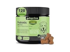 Probiotics for Dogs
