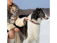 STEELERS Premium Dog Collar (L)