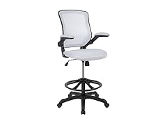 Kale Mid-Back Mesh Ergonomic Chair