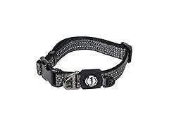 Franklin Pet Supply Co. - Nylon Dog Collar