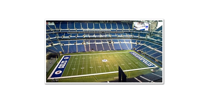 NFL 36x20 Stadium Posters