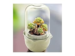 CheerGrow CheerGrow Succulent Pot with Grow Ligh