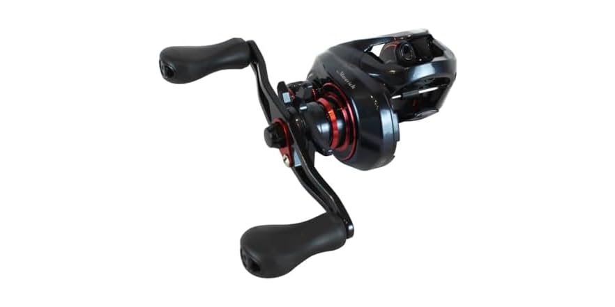 Deal tikka image