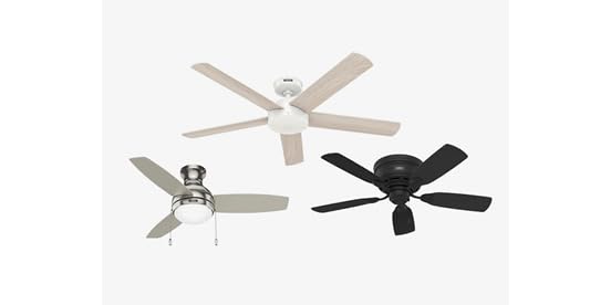 Deal tikka image