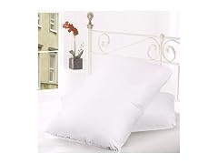 2pk Down & Feather Cover Pillows
