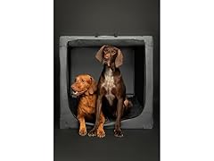 NOAH & PAW Collapsible Dog Crate- XX Large