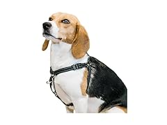 Premier Pet Step-in Harness - Small