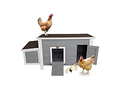 Petsfit Outdoor Chicken Coop with Run for 4-6