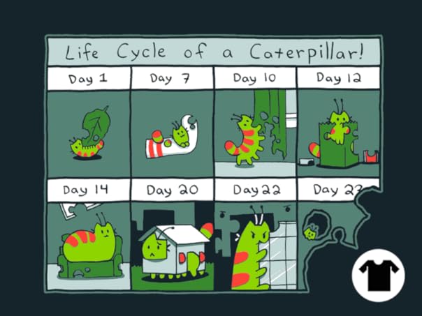 The Life Cycle of a CATerpillar