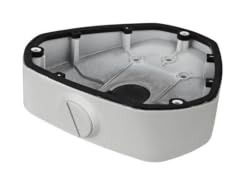 HIKVISION DS-1281ZJ-DM25 Inclined ceiling mount White