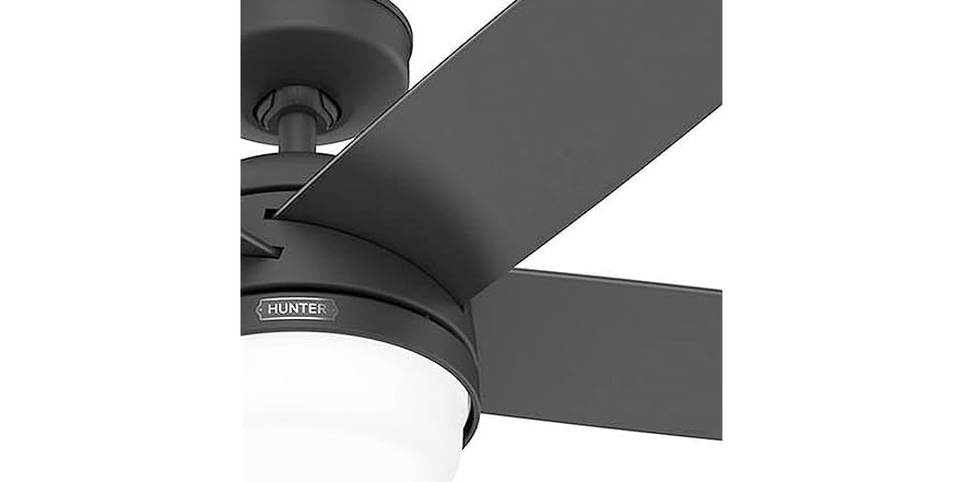 Hunter Fan 52