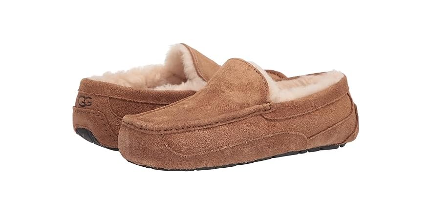 mens ugg ascot leather slippers on sale