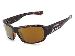 Snapback - Shiny Tortoise & Gold