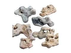 Natural Hag Stone from The Mediterranean