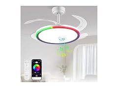 BAYSQUIRREL RGB Ceiling Fan BT Speaker