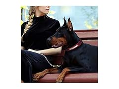 COWBOYS Premium Dog Collar (M)